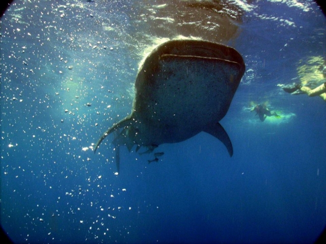 Una experiencia única