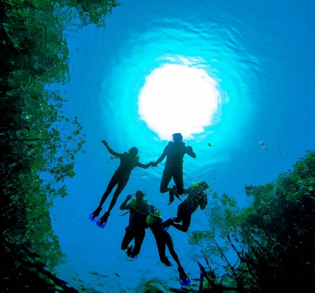 Buceand en cenotes