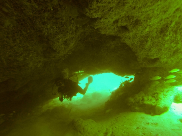 Inmersiones en cenotes