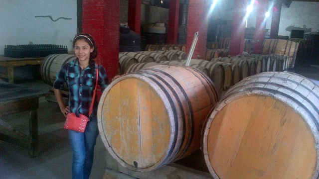 En el chalet de vinos