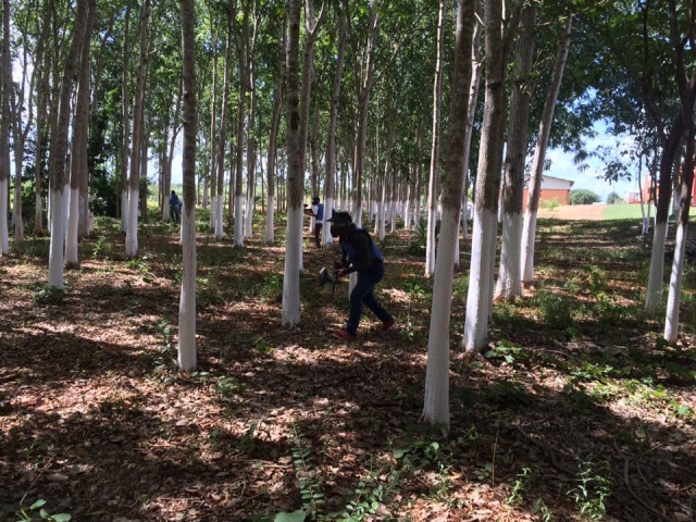 Paintball en el bosque