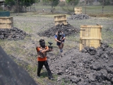 400 cápsulas de paintball en Cuerna