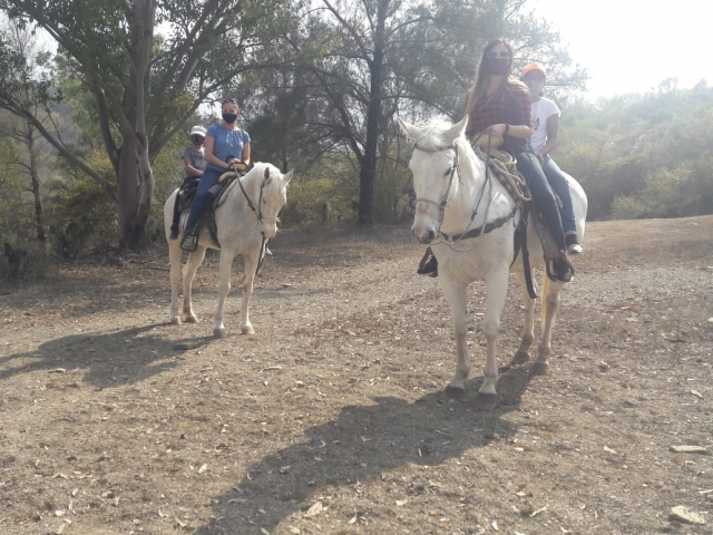 Caballos y visita guiada