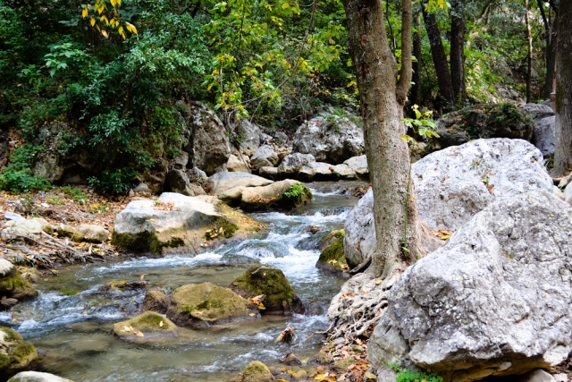 Arroyos cerca de la cascada