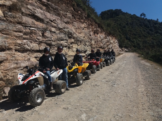 Visita guiada por bucarello