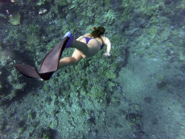 Snorkeling en Huatulco