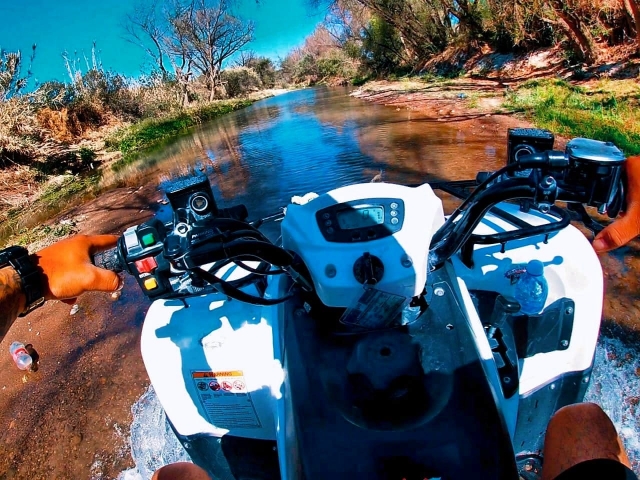 Visita guiada en quad individual