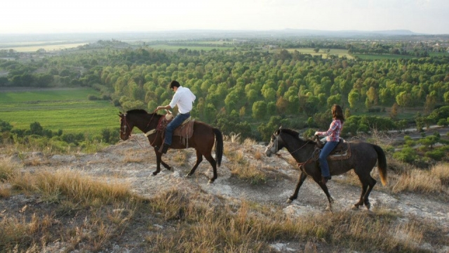 Caminos de semidesierto