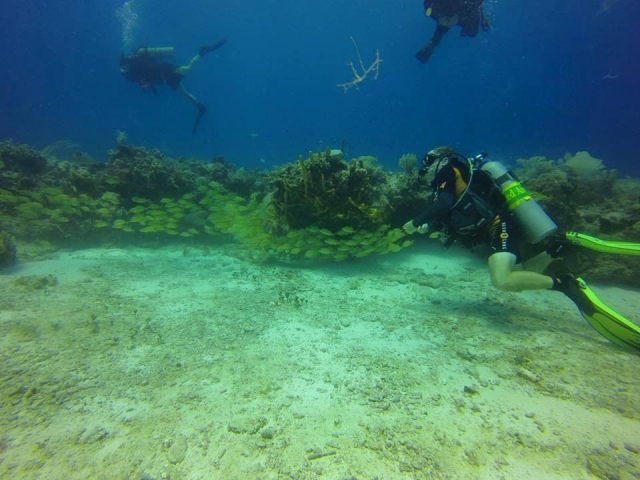 De buceo en puerto morelos 
