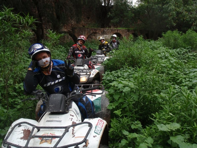 Un paseo por la naturaleza