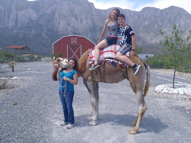 Paseo en camello
