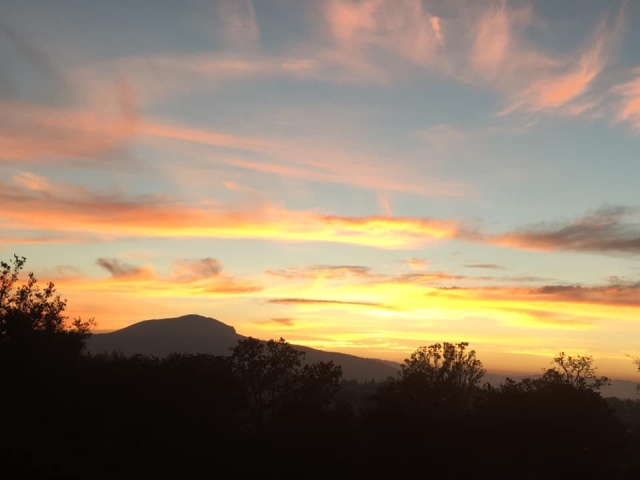 173256921_1294153954665278_5202047780139470764_n