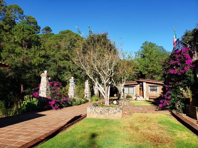 71866343_536960490384632_7249533061933563904_n