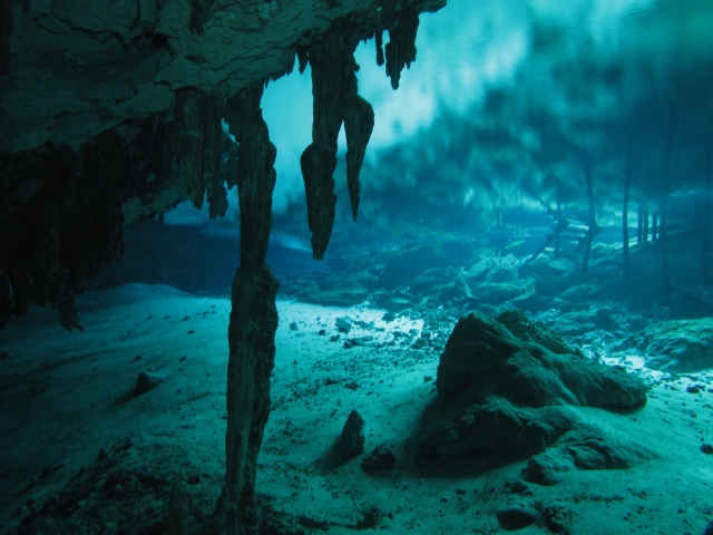 cenote 2 ojos 