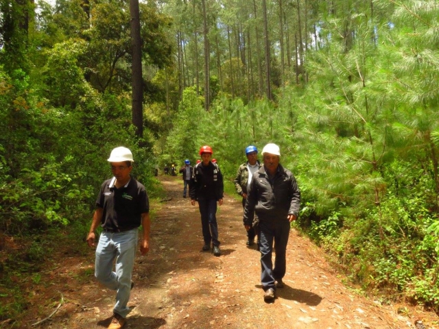 Ruta por la naturaleza