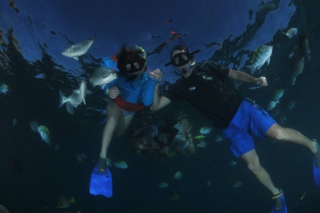 Descubriendo el paisaje submarino