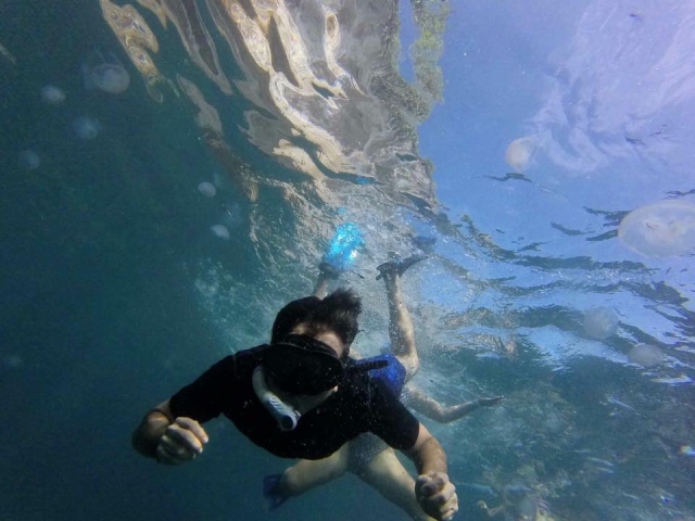 Snorkel en bahia de banderas