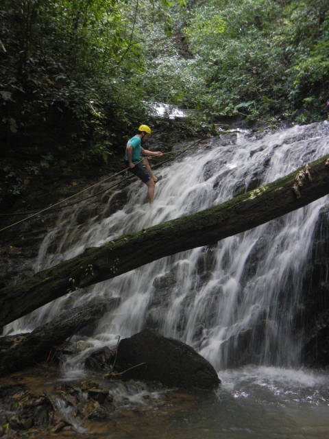 En la naturaleza