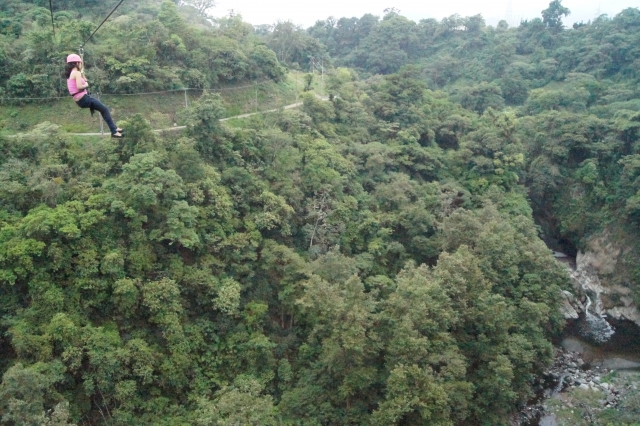Volando sobre el rio