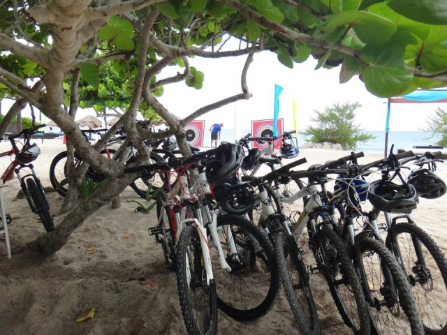 Bicicletas de montaña