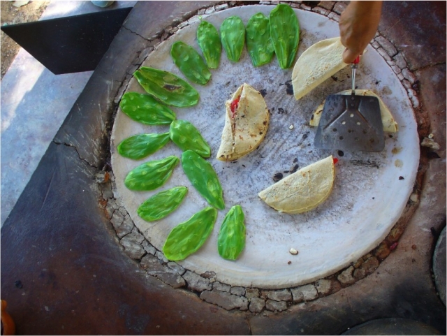 Degustación