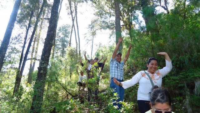 Disfruta de esta experiencia en la naturaleza 