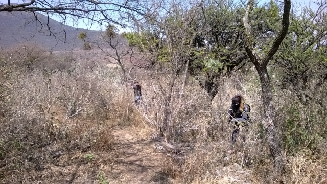 campo abierto