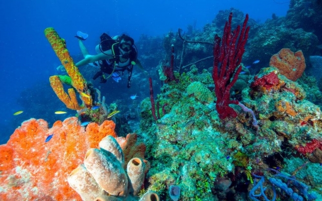 Bueco en quintana roo