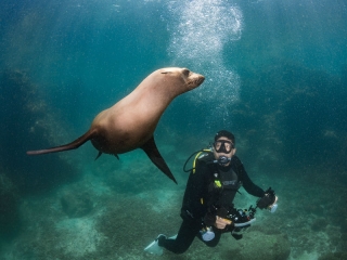 3 tanquereres de buceo en el Mar de Cortés 8 hrs