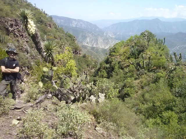 Escenarios naturaleres