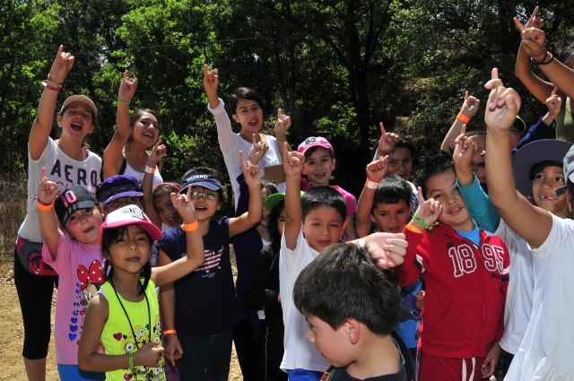 Actividadererererereres recreativas 