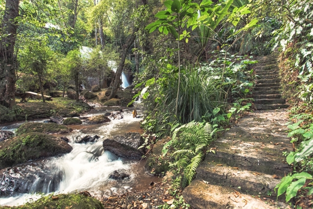 Paisajererererereres naturaleres