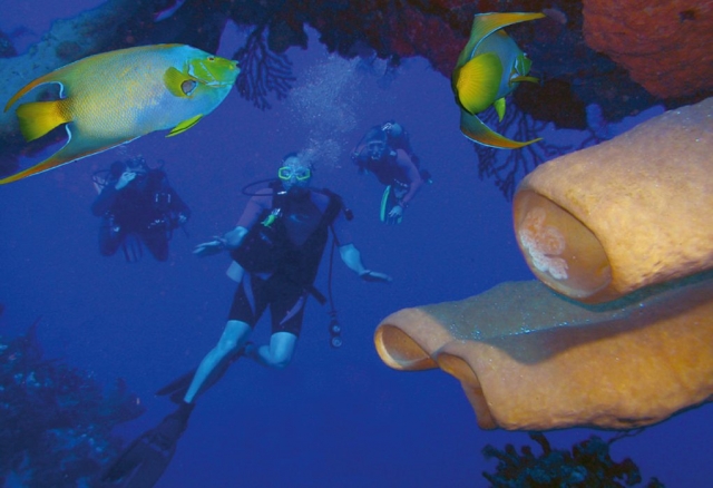 Buceo en arrecifes