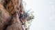 Rappel Valle de Bravo