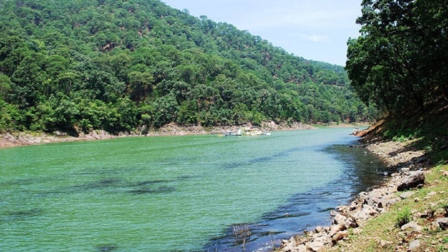 valte de bravo