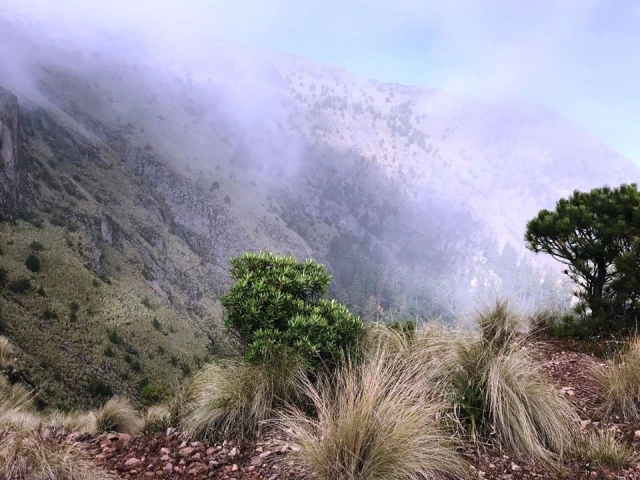Vistas desde lo alto
