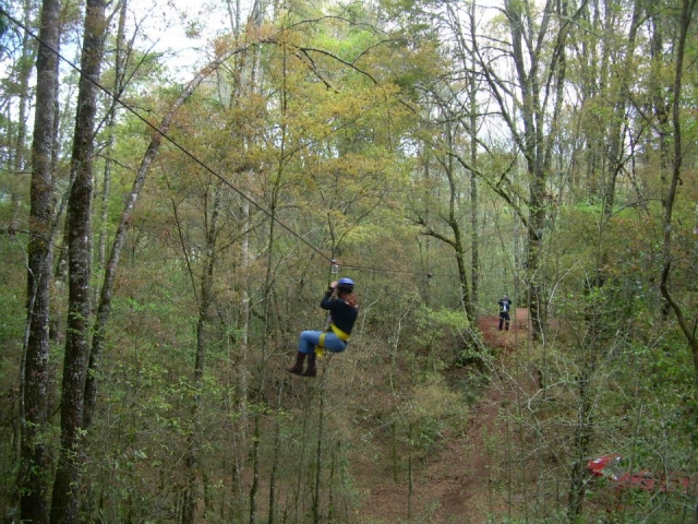 Tirolina en el bosque