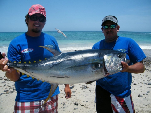Guias de pesca