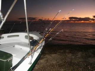 Pesca deportivas 6 horas en Los Cabos