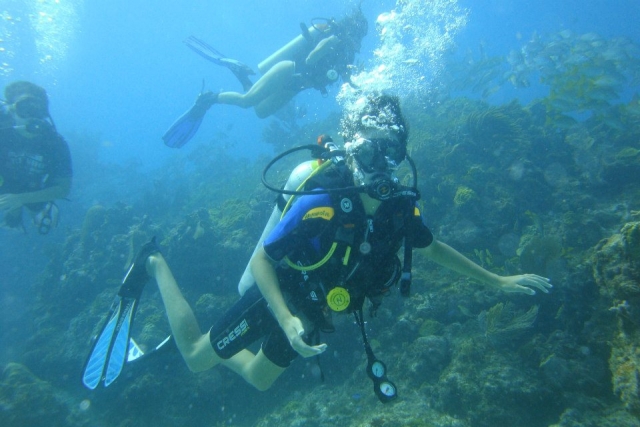 Bucea en el Caribe