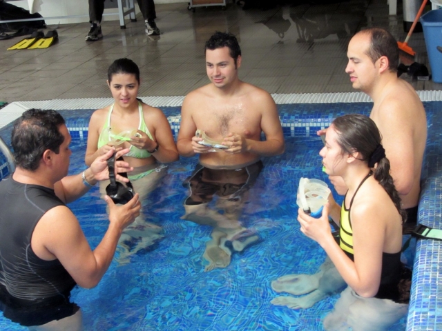 Mostrando la forma de