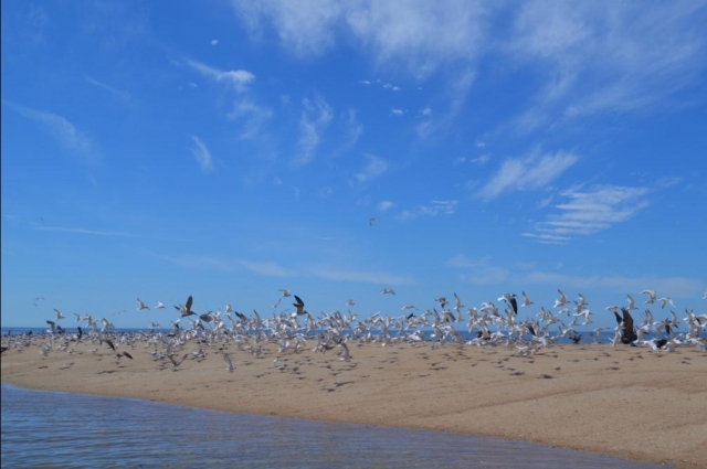 Playa virgen