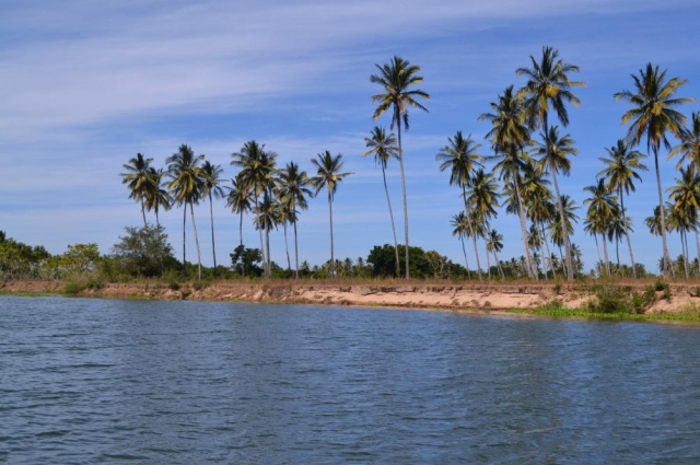 Estero