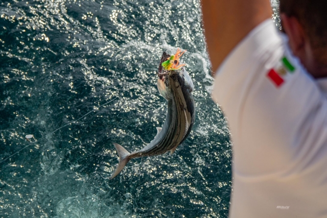 Pescando en mar