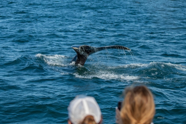 273610279_10158095686316783_5156946397153519036_n