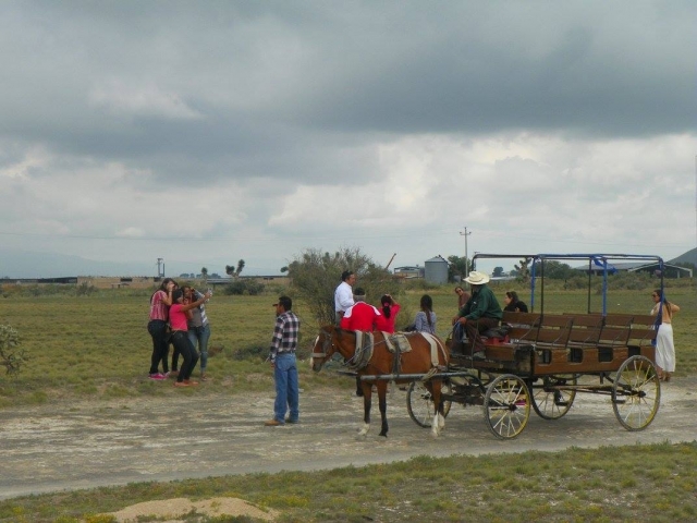 Recorrido guiado en el estado de monterey