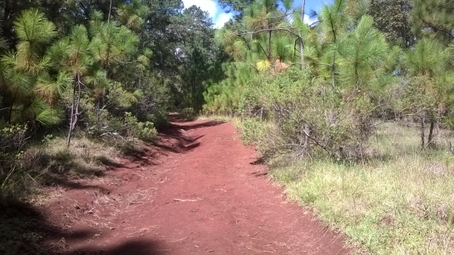 Rutas guiadas