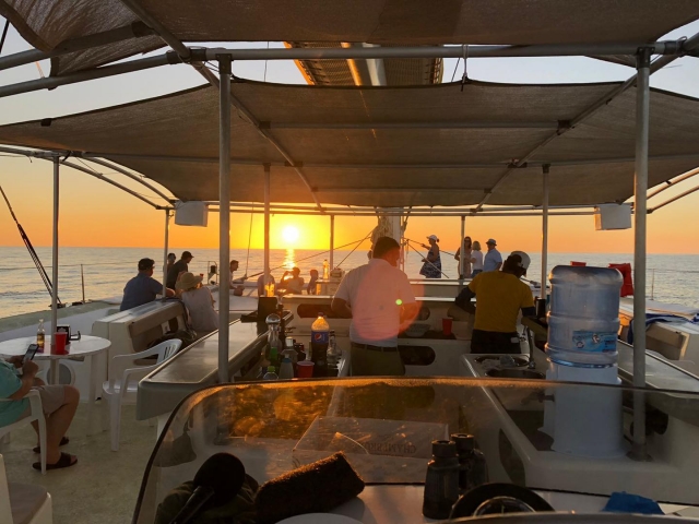 Catamarán