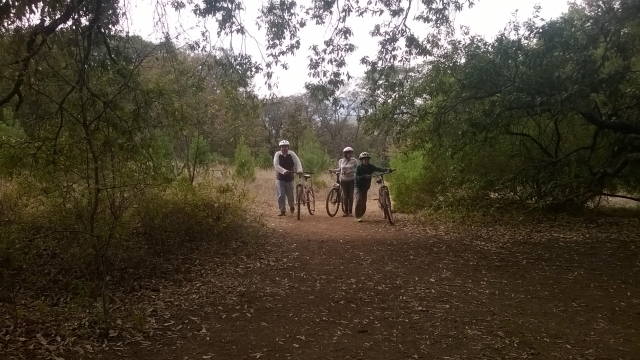 Ruta en bicicleta