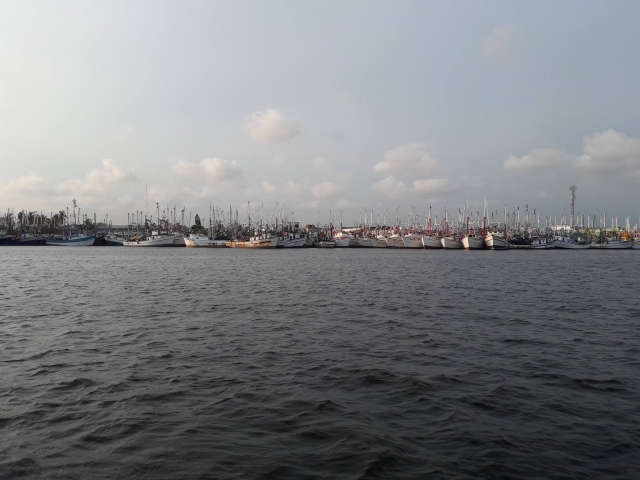 Navengando por la bahía